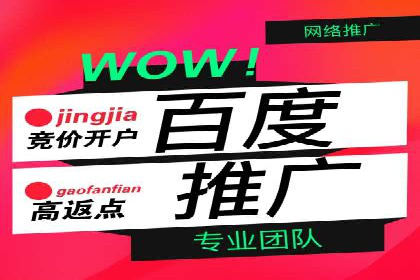 社交媒体信息流策略：以某大V为例